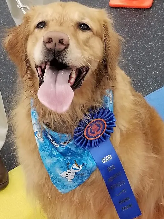 Good Dog Aquatic Fitness 1