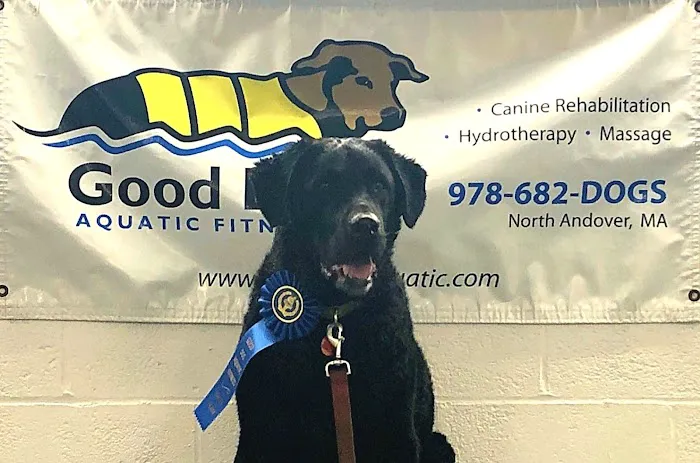 Good Dog Aquatic Fitness 3