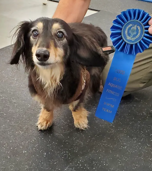 Good Dog Aquatic Fitness 6