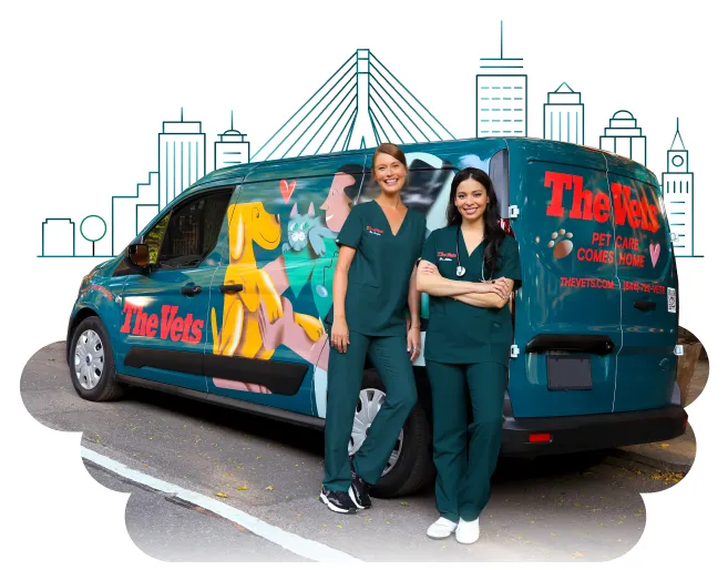 The Vets - Mobile Vet Care in Boston (Formerly BetterVet) 1