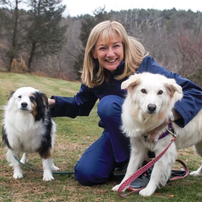 The Vets - Mobile Vet Care in Boston (Formerly BetterVet) 8