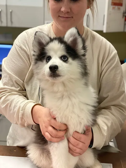 Back Bay Veterinary Clinic 3