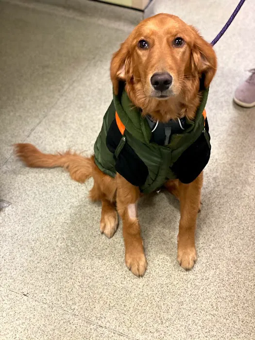 Back Bay Veterinary Clinic 4