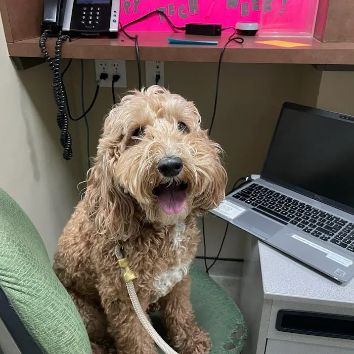 Back Bay Veterinary Clinic 6
