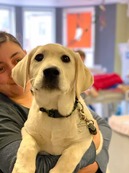 Back Bay Veterinary Clinic 7