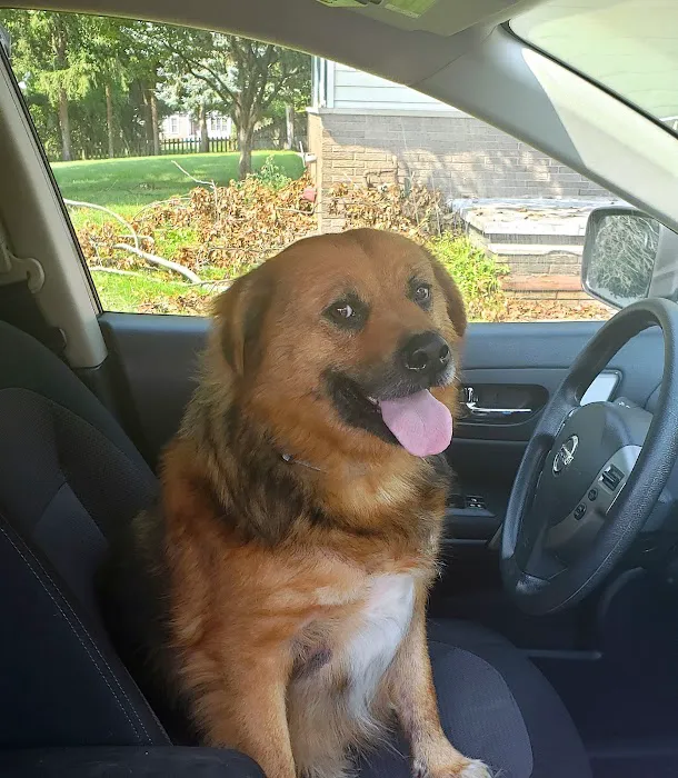 Hello Ralphie Online Veterinarian 9