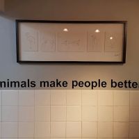 South Bay Veterinary Group ico