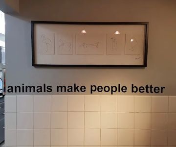 South Bay Veterinary Group