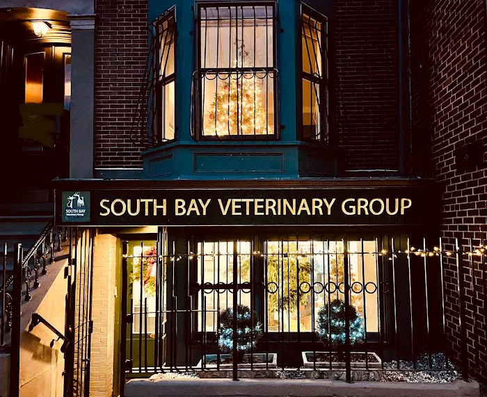 South Bay Veterinary Group 2