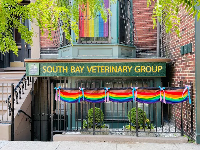 South Bay Veterinary Group 3