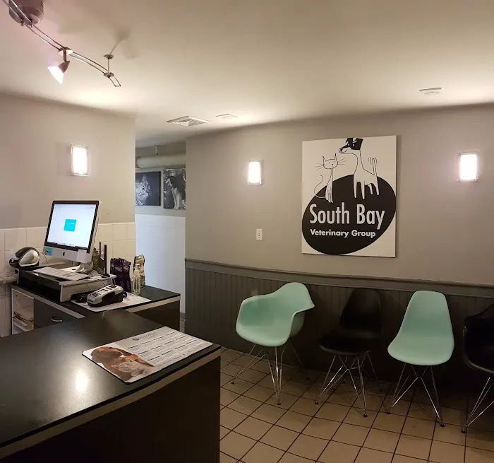 South Bay Veterinary Group 6