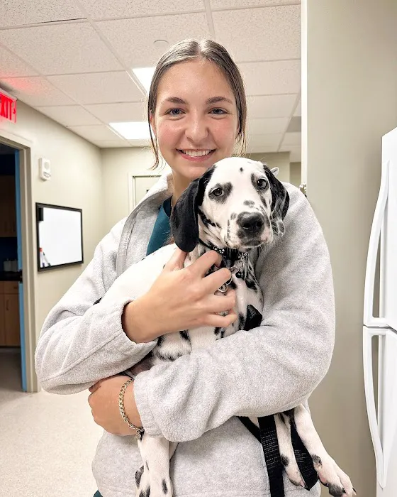 Boston Animal Hospital 5