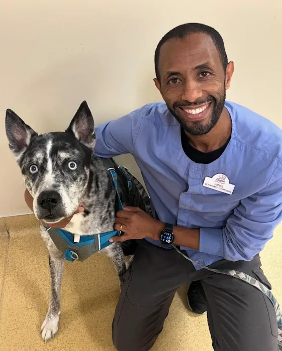 Boston Animal Hospital 8