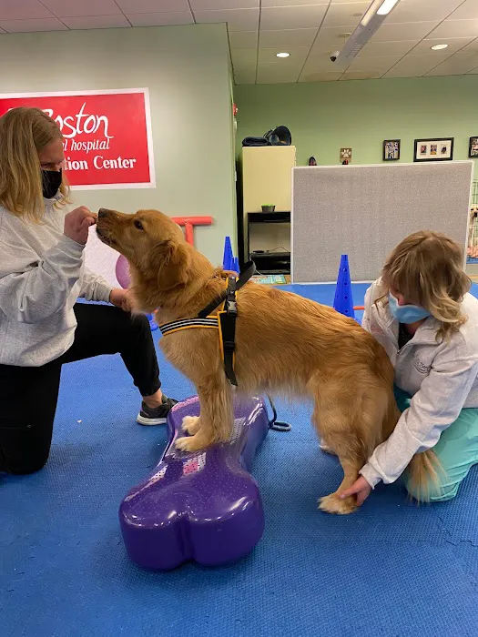 Boston Pet Rehabilitation 3