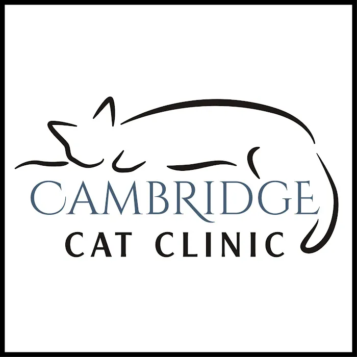 Cambridge Cat Clinic 3