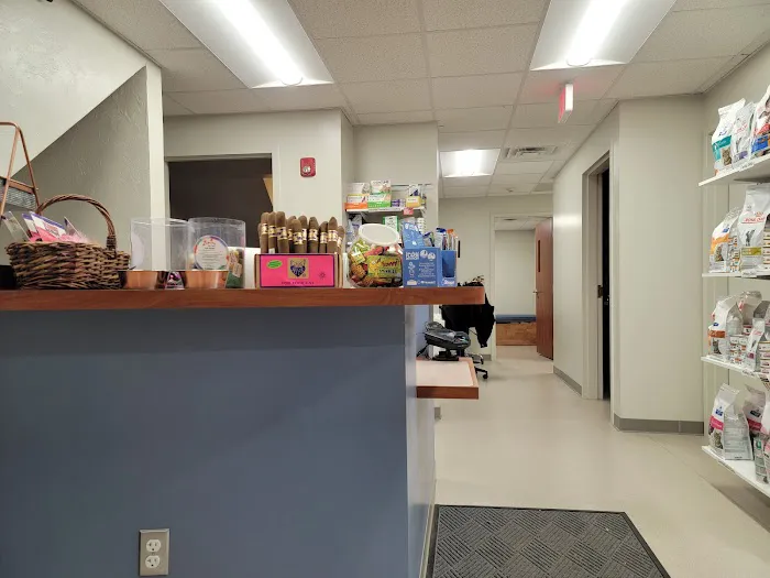 Cambridge Cat Clinic 9