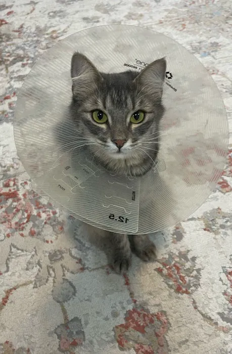 Come Together Animal Clinic 2