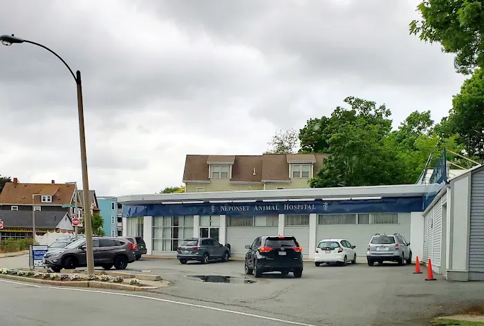 Neponset Pet Center & Animal Hospital 2