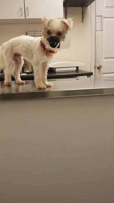 Neponset Pet Center & Animal Hospital 6
