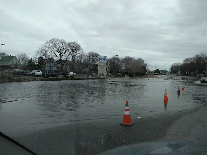 Neponset Pet Center & Animal Hospital 9