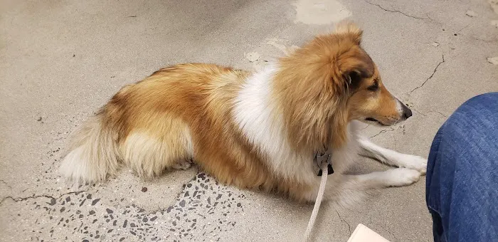 Banfield Pet Hospital 4