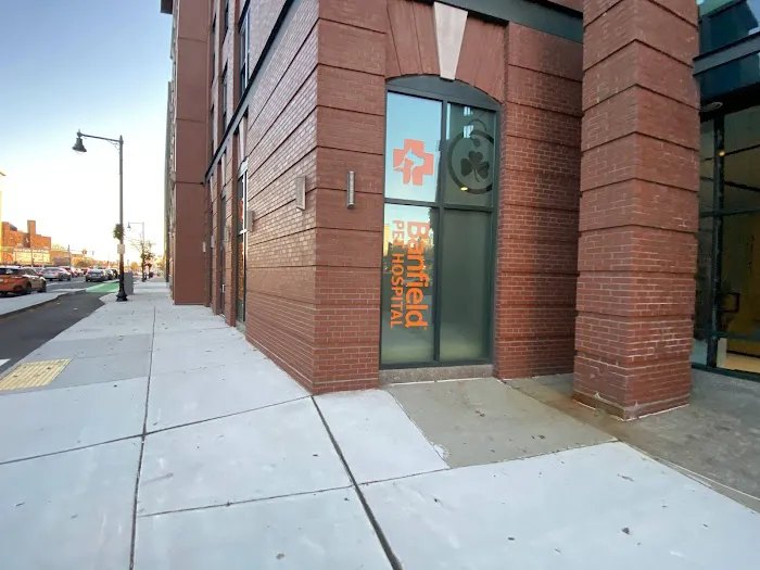 Banfield Pet Hospital 5