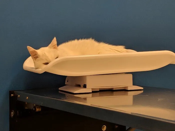 Banfield Pet Hospital 8