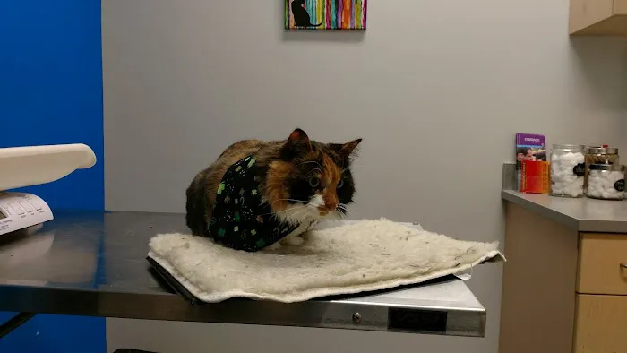 Banfield Pet Hospital 9