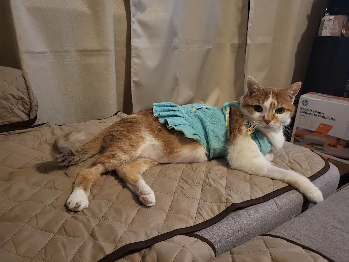 Banfield Pet Hospital 10
