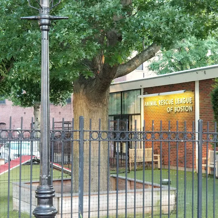 Boston Veterinary Care 2