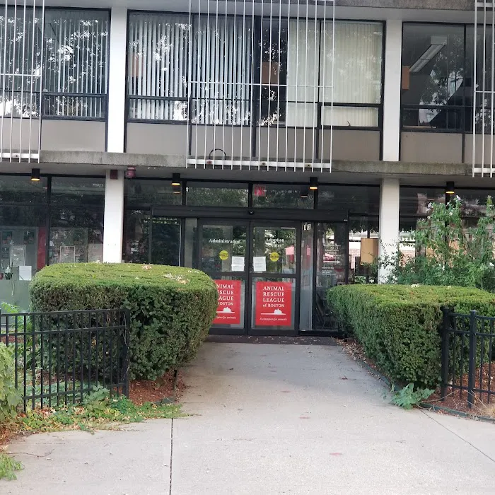 Boston Veterinary Care 3