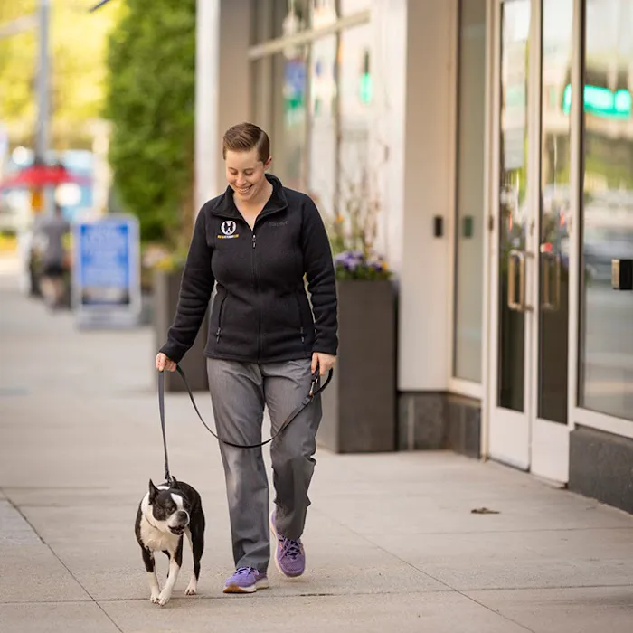 Boston Veterinary Clinic 5