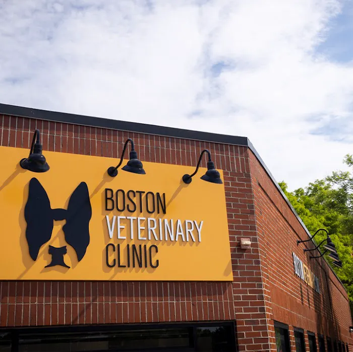 Boston Veterinary Clinic 2