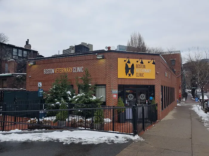 Boston Veterinary Clinic 1