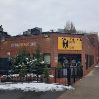 Boston Veterinary Clinic ico