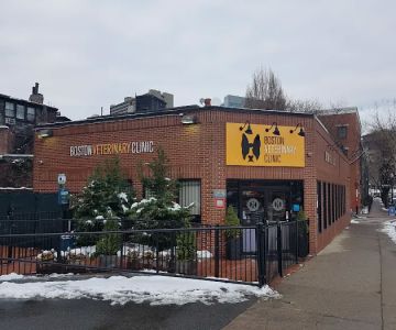 Boston Veterinary Clinic