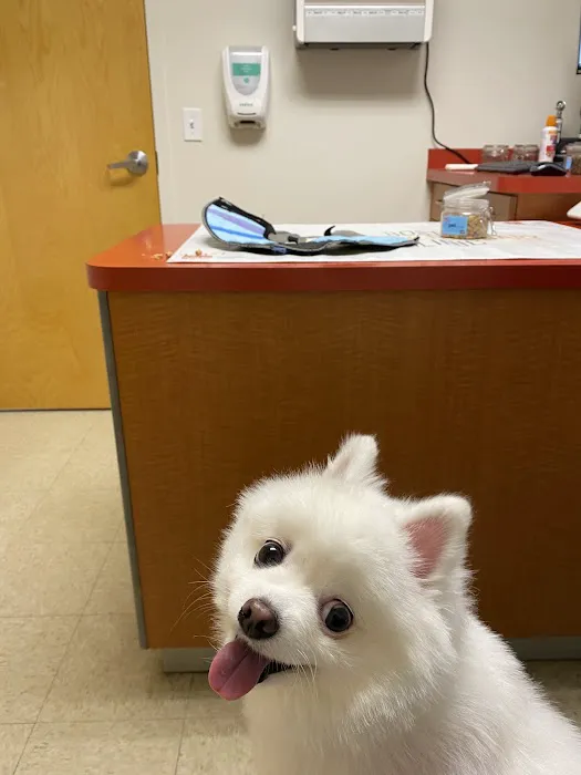 Boston Veterinary Clinic 8