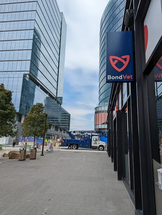 Bond Vet - Seaport 10