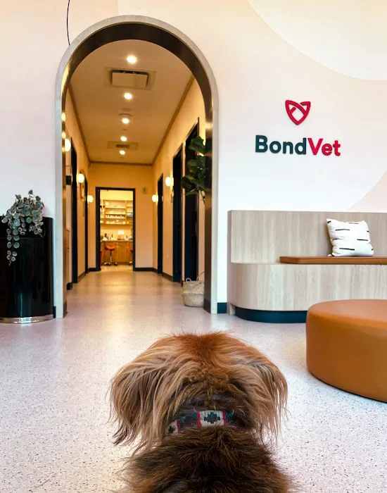 Bond Vet - Seaport 9