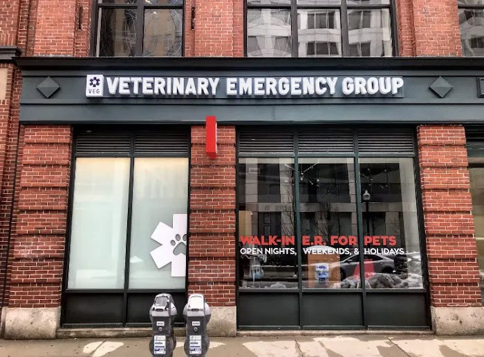 Veterinary Emergency Group 2