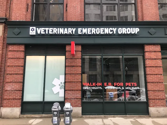 Veterinary Emergency Group 1