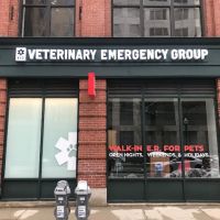 Veterinary Emergency Group ico