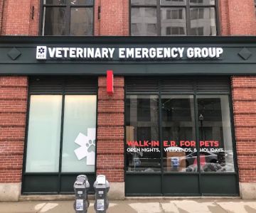 Veterinary Emergency Group