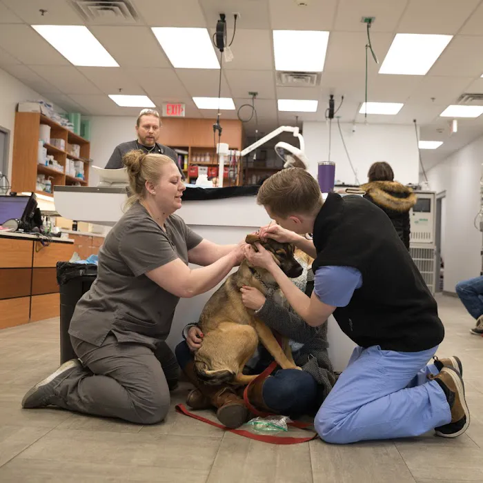 Veterinary Emergency Group 6