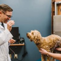 Old Derby Animal Hospital ico