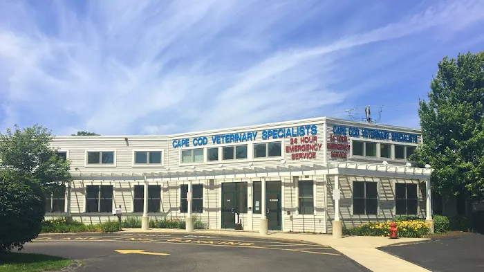 Cape Cod Veterinary Specialists 3