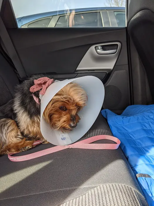Cape Cod Veterinary Specialists 9