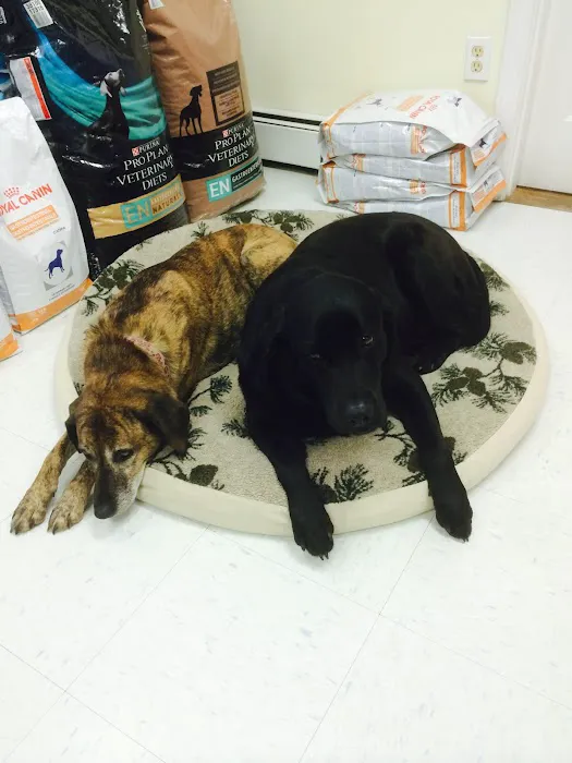 All Pets Medical Center, LLC 3