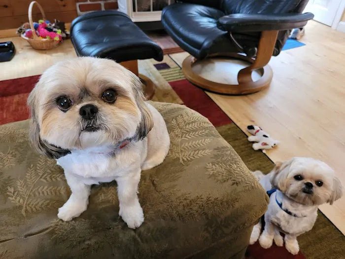 All Pets Medical Center, LLC 4