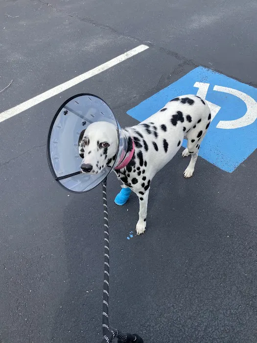 All Pets Medical Center, LLC 8